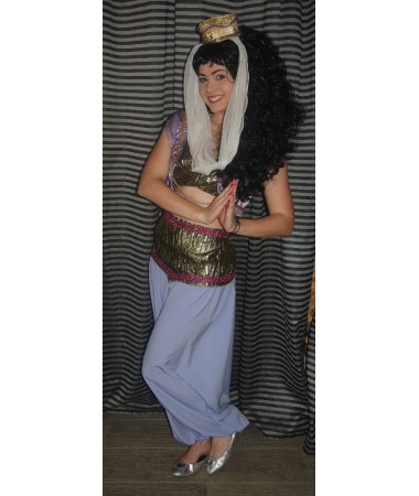 Purple Arabian Princess ADULT HIRE